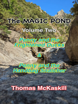 cover image of The Magic Pond Volume Two